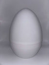 Plastic Egg Container