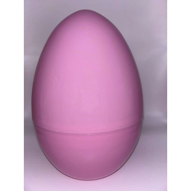 Plastic Egg Container