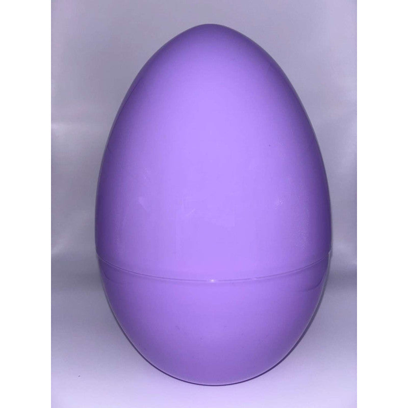 Plastic Egg Container