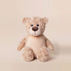 Tummi Bears®  - Teddy Bear