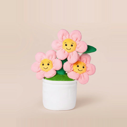 Tummi Bears Flora the Flower Pot plush soft toy, front view on a studio background - wholesale blank for personalisation, KWC0941